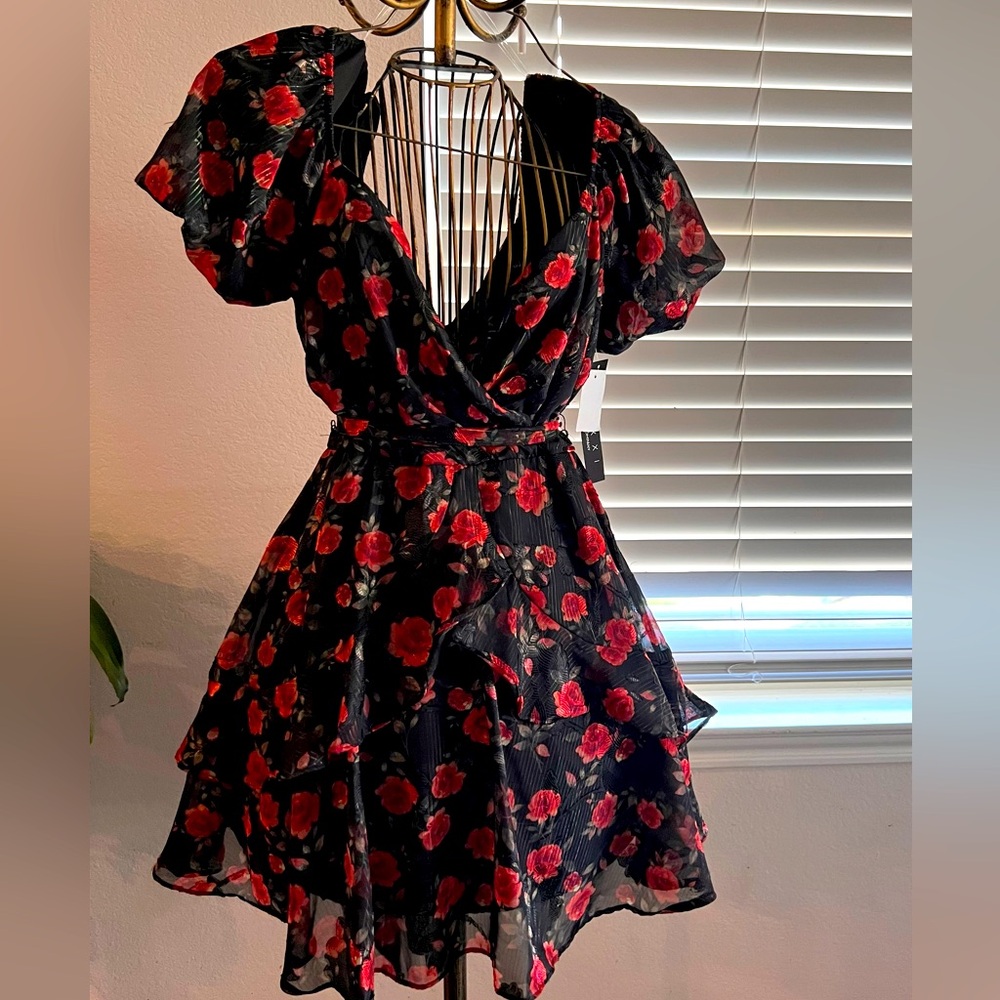 Trixxi NWT large dress black with red rose print